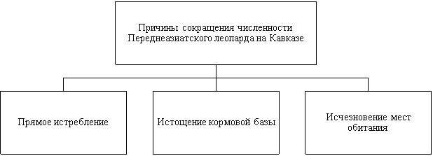 Причины сокращения численности Переднеазиатского леопарда на Кавказе [5]