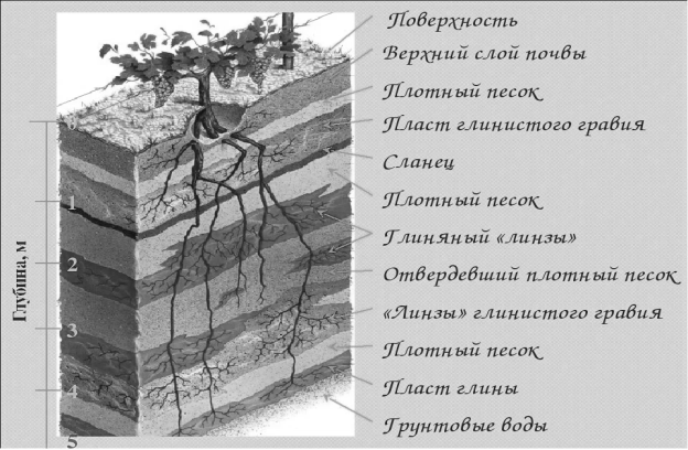 Слои почвы