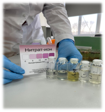 Определение нитрат-ионов