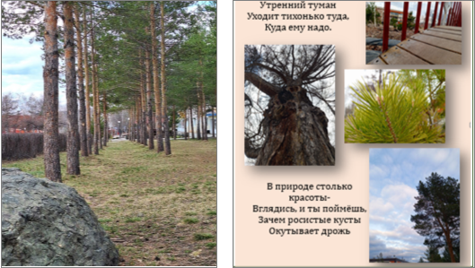 Восприятие красоты природы через жанр хокку