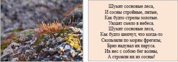 Восприятие красоты природы через поэзию