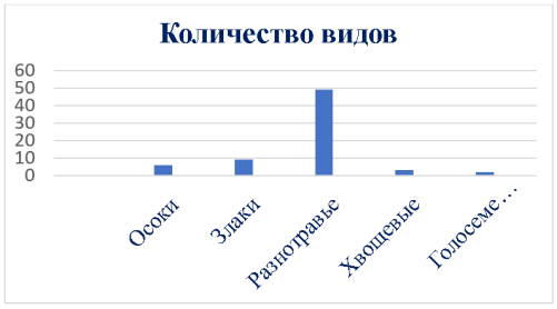 Количество видов