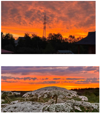 Ярко-оранжевое небо