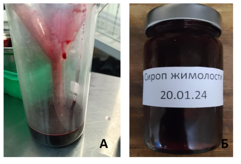Функциональные продукты на основе жимолости: А- сок, Б- сироп