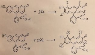 Реакции галогенирования и нейтрализации флуоресцеина