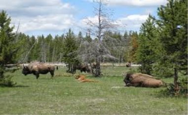 C:\Users\Администратор\Desktop\МАМА\Стимулирующие\Заболотские чтения\imagesCANHMDRT.jpg