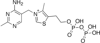 Тиаминпирофосфат