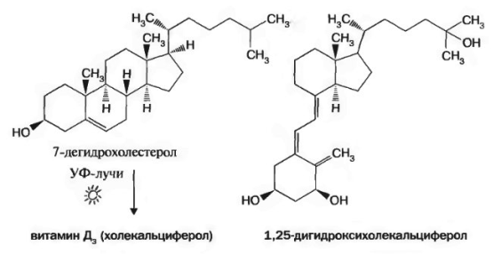 Холекальциферол и 1,25-дигидроксихолекальциферол
