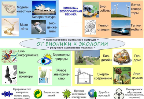 Основы бионики и её связь с экологией