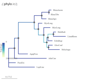 C:\Users\Kate\Downloads\svg1.phylo.io (4).png