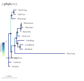 C:\Users\Kate\Downloads\svg2.phylo.io (7).png