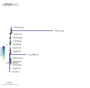 C:\Users\Kate\Downloads\svg2.phylo.io (8).png