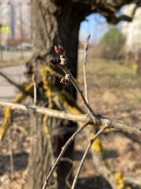 6 апреля (1)
