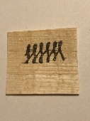5203933494714164387