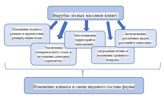 Влияние потери лесов на изменение окружающей среды