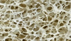 Эйфелева башня в Париже