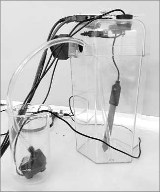 Умная теплица PASCO