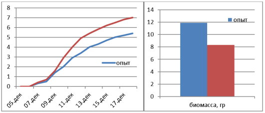 Рост и набор биомассы при световом дне в 10 часов