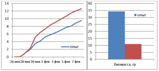 Рост и набор биомассы при световом дне 20 часов