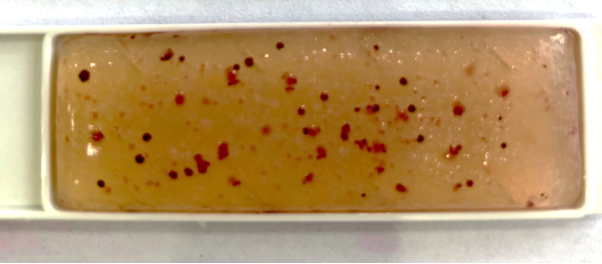 Результаты исследования без проветривания