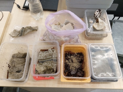 Вермикомпостеры учащихся ЦТТД «НОВАпарк»