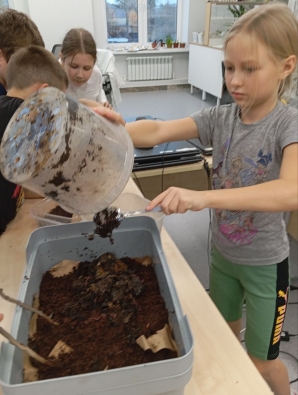 Вермикомпостер автора