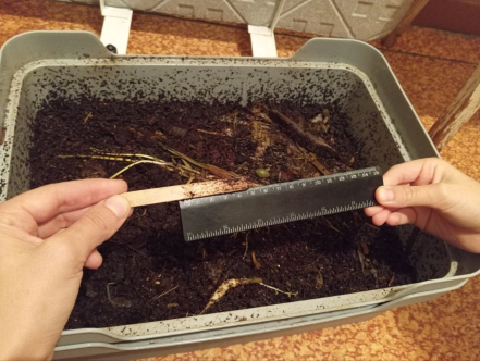 Уровень биогумуса в вермикомпостере