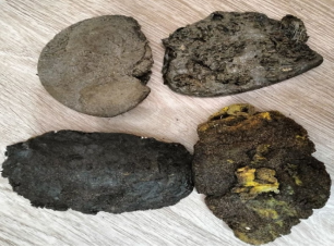 Полученные образцы