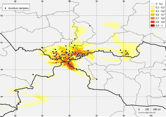 Прогнозная карта распространения A. decipiens на основе 19 климатических переменных (Worldclim) и фактора высоты над уровнем моря. Качество модели по индексу пригодности местообитания таксона (AUC): 0,9–1 = «отлично» (красный), 0,8–0,9 = «хорошо» (оранжевый), 0,7, 0,8 = «удовлетворительно» (жёлтый), 0,6–0,7 = «плохо» (светло-жёлтый), < 0,6 = «очень плохо» (серый)