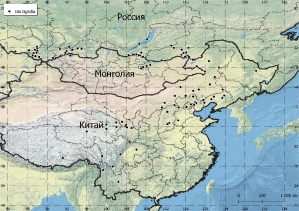Слева — внешний вид Iris tigridia (Фото — Lisa R. (iNaturalist)). Справа — карта распространения Iris tigridia