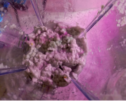 Измельченная бумага до высушивания