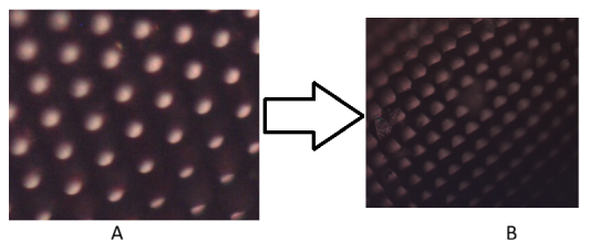 Поверхностная структура органа зрения осы: А) Увеличение 100 х; В) Увеличение 200 х