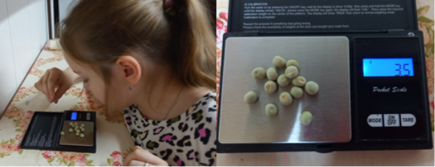 Подготовка к посеву