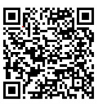 Электронный справочник русско-английских фразеологических эквивалентов