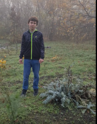 Вегетативный рост растения «Мачок желтый» (Glaucium flavum) в аптекарском огороде государственного бюджетного учреждения дополнительного образования Краснодарского края «Эколого-биологический Центр»