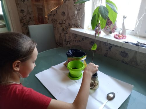 C:\Users\user\Desktop\! Конкурс исследовательских работ\Фото\9.jpg