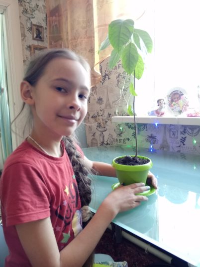 C:\Users\user\Desktop\! Конкурс исследовательских работ\Фото\10.jpg