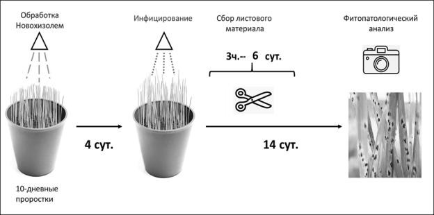Схема лабораторного эксперимента