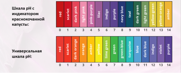 Сравнение стандартной шкалы pH с нейтральным уровнем 6–7 с шкалой оттенков антоцианов краснокочанной капусты