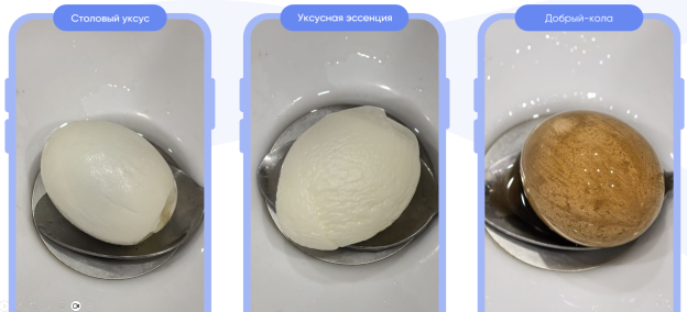 Внешний вид яиц, выдержанных в разных жидкостях в течение 1 дня