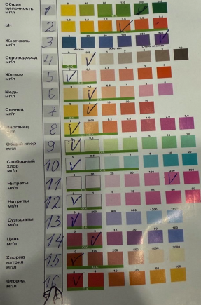 Выполнение теста на количество сероводорода, железа, меди, свинца, марганца, общего и свободного хлора, нитратов, нитритов, сульфатов, цинка, хлорида натрия, фторида, содержащихся в образце воды из родника Дмитровского округа. Проверка на кислотно-щелочной баланс и жесткость воды в зимний период