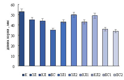 Влияние инвазионных видов на длину корня тест культуры. К — контроль, ЗЛ — золотарник канадский, КЯ — клен ясенелистный, БС — борщевик Сосновского, ЗЛ1 — золотарник, произрастающий рядом с кленом, ЗЛ2 — золотарник, произрастающий рядом с борщевиком Сосновского, КЛ1 — клен, произрастающий рядом с золотарником канадским, КЛ2 — клен, произрастающий рядом с борщевиком Сосновского, БС1 — борщевик, произрастающий рядом с золотарником, БС2 — борщевик, произрастающий рядом с кленом ясенелистным. Приведены средние значения с стандартной ошибкой. Разные литеры означают достоверную разницу при р≤0,05 согласно Тьюки-тесту