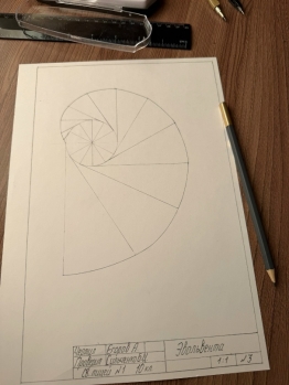 Процесс построения эвольвенты и результат