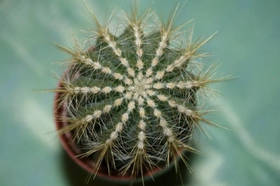 Пример центральной симметрии