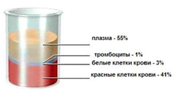 Компоненты крови [2]