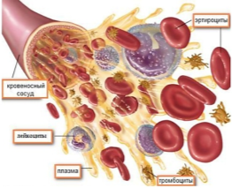 Форменные элементы крови [2]