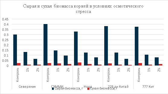 Сырая и сухая биомасса корней в условиях осмотического стресса