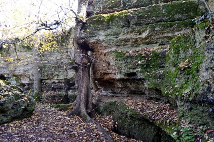 https://jalita.com/guidebook/simferopol/images/plachushchaya_skala_1280.jpg