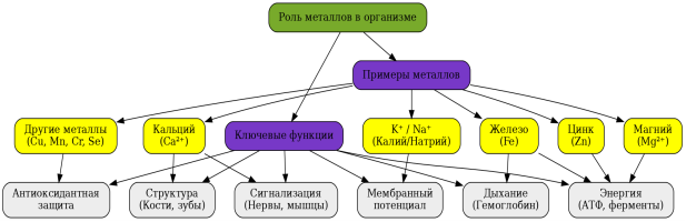Диаграмма показывает основные металлы, необходимые организму человека (железо, кальций, калий, натрий, магний, цинк и другие), их ключевые функции и уровни их биологической активности