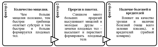 Факторы, влияющие на рост грибов